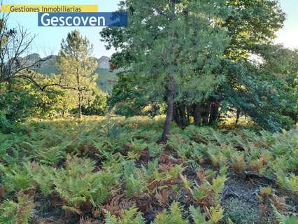 Parcela rústica en venta en Valencia de Alcántara