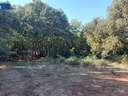Parcela rústica en venta en Valencia de Alcántara