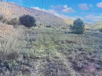 Parcela rústica en venta en La Romana