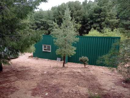 Parcela rústica en venta en La Romana