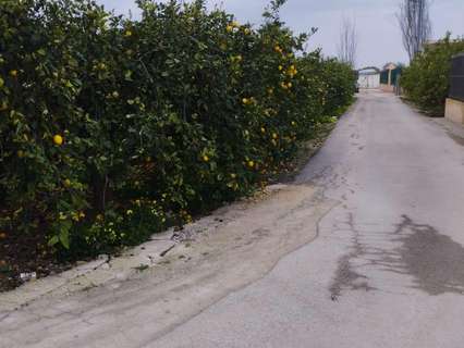 Parcela rústica en venta en Murcia zona El Raal