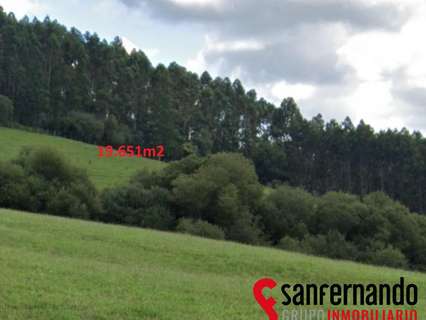 Parcela rústica en venta en Ribamontán al Monte