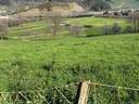 Parcela rústica en venta en Castañeda