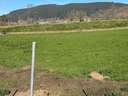 Parcela rústica en venta en Castañeda