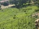 Parcela urbana en venta en Castañeda