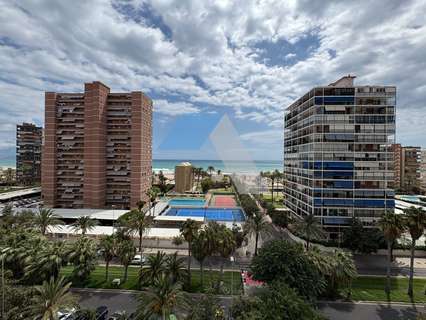 Piso en alquiler en Alicante