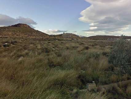 Parcela rústica en venta en Agost