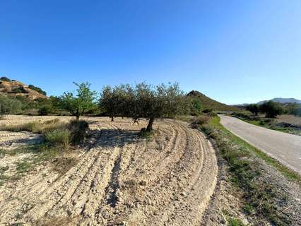 Parcela rústica en venta en Alicante