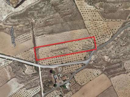 Parcela rústica en venta en El Pinós/Pinoso rebajada