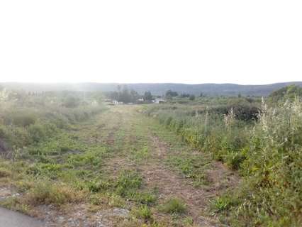 Parcela rústica en venta en Alcalà de Xivert