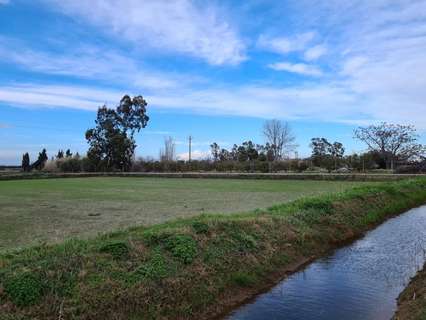 Parcela rústica en venta en Amposta