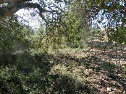 Casa rústica en venta en Sant Carles de la Ràpita