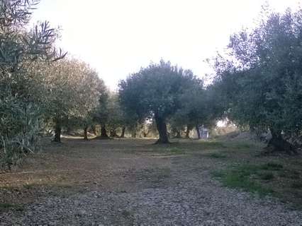 Casa rústica en venta en Sant Carles de la Ràpita