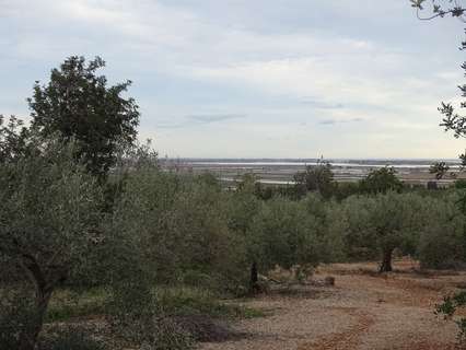 Casa rústica en venta en Sant Carles de la Ràpita