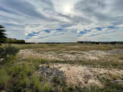 Parcela rústica en venta en Sant Carles de la Ràpita