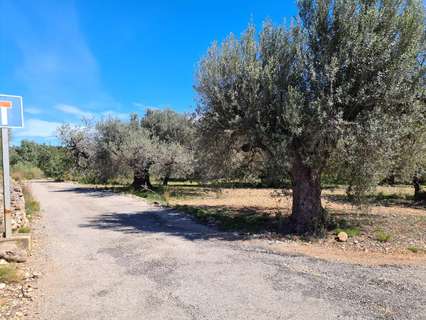 Parcela rústica en venta en Sant Carles de la Ràpita rebajada