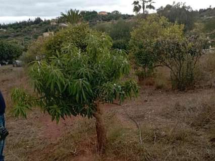 Parcela rústica en venta en Estepona