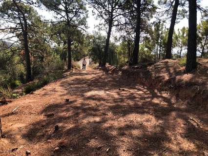 Parcela rústica en venta en Estepona