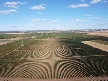 Parcela rústica en venta en Rueda
