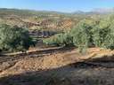 Parcela en venta en Lucena, rebajada