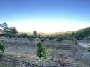 Parcela en venta en Sellent