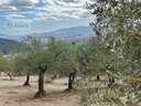 Parcela en venta en Casarabonela