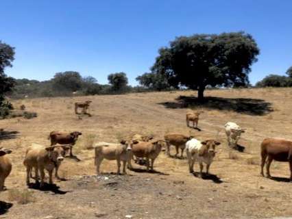 Parcela en venta en Serradilla