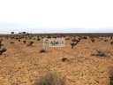 Parcela en venta en Tomelloso