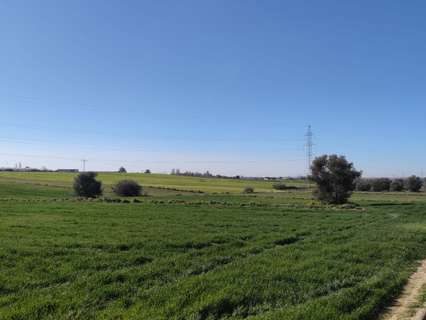 Parcela en venta en Móstoles zona POLIGONO 35