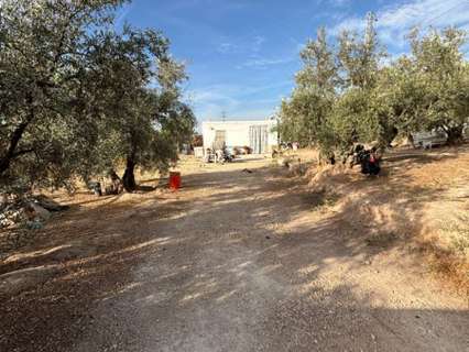 Parcela en venta en Lucena