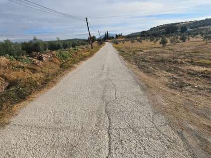 Parcela en venta en Lucena