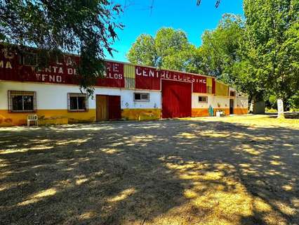 Casa rústica en venta en Madridejos