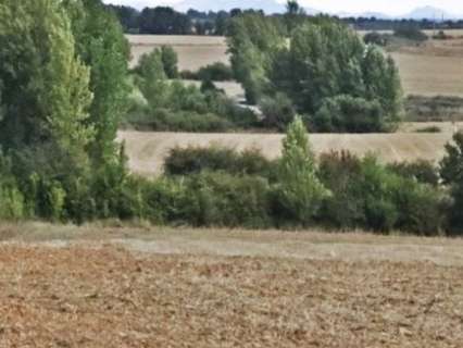 Parcela en venta en Valdefresno