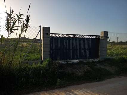 Parcela rústica en alquiler en Chiclana de la Frontera
