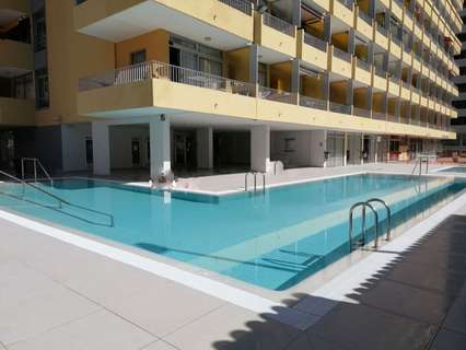 Estudio en alquiler en Puerto de la Cruz rebajado