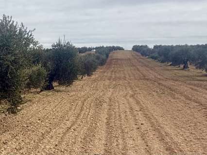 Parcela en venta en Corte de Peleas