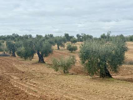 Parcela en venta en Entrín Bajo