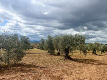 Parcela en venta en Santa Marta