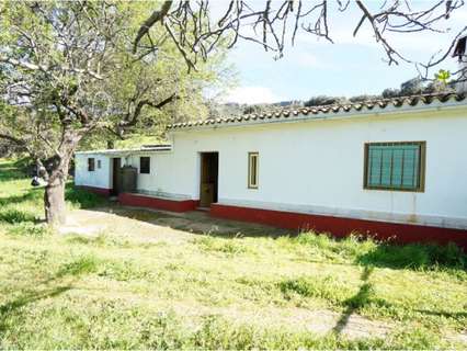 Parcela en venta en Almadén