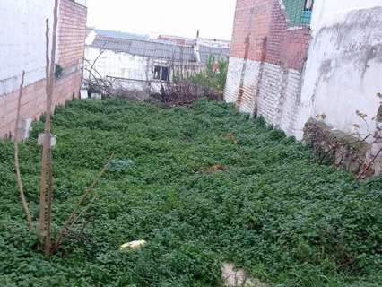 Parcela en venta en Lucena