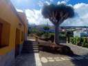 Casa en alquiler en La Orotava
