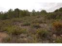 Parcela en venta en Montserrat