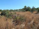 Parcela en venta en Torrent