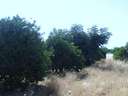Parcela en venta en La Carlota, rebajada