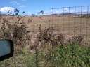 Parcela en venta en Guijo de Coria