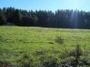 Parcela en venta en Monforte de Lemos