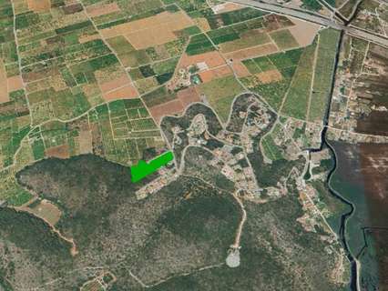 Parcela rústica en venta en Oliva