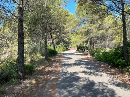 Parcela rústica en venta en Mont-Roig del Camp