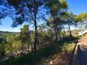 Parcela urbana en venta en Olivella