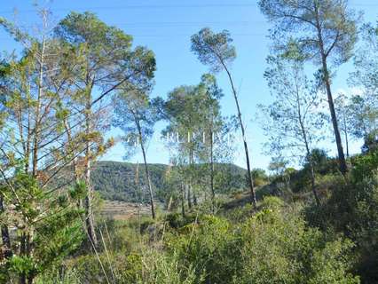 Parcela urbana en venta en Olivella